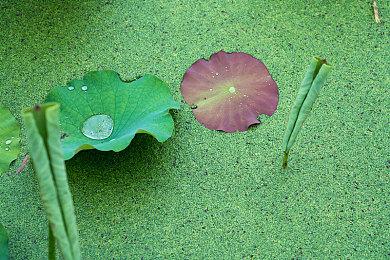 《THE GOOD LIFE：欠债女王与世界第一幸福的小镇》中文支持首次八折优惠